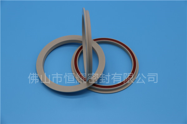 食品機械密封件 (29)