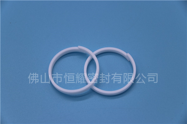加液槍密封圈 (31)