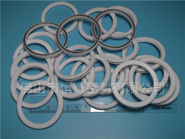 HVF、HVG端面內(nèi)、外向泛塞封 (9)