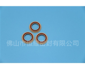 食品機械密封件 (10)