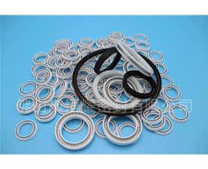 HOB、HVB孔用泛塞封 (12)